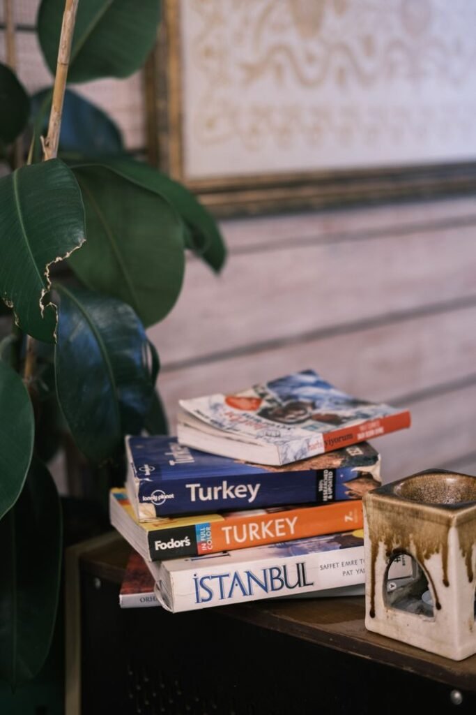 Stack of travel guidebooks on Turkey and Istanbul beside a potted plant, perfect for travel inspiration.